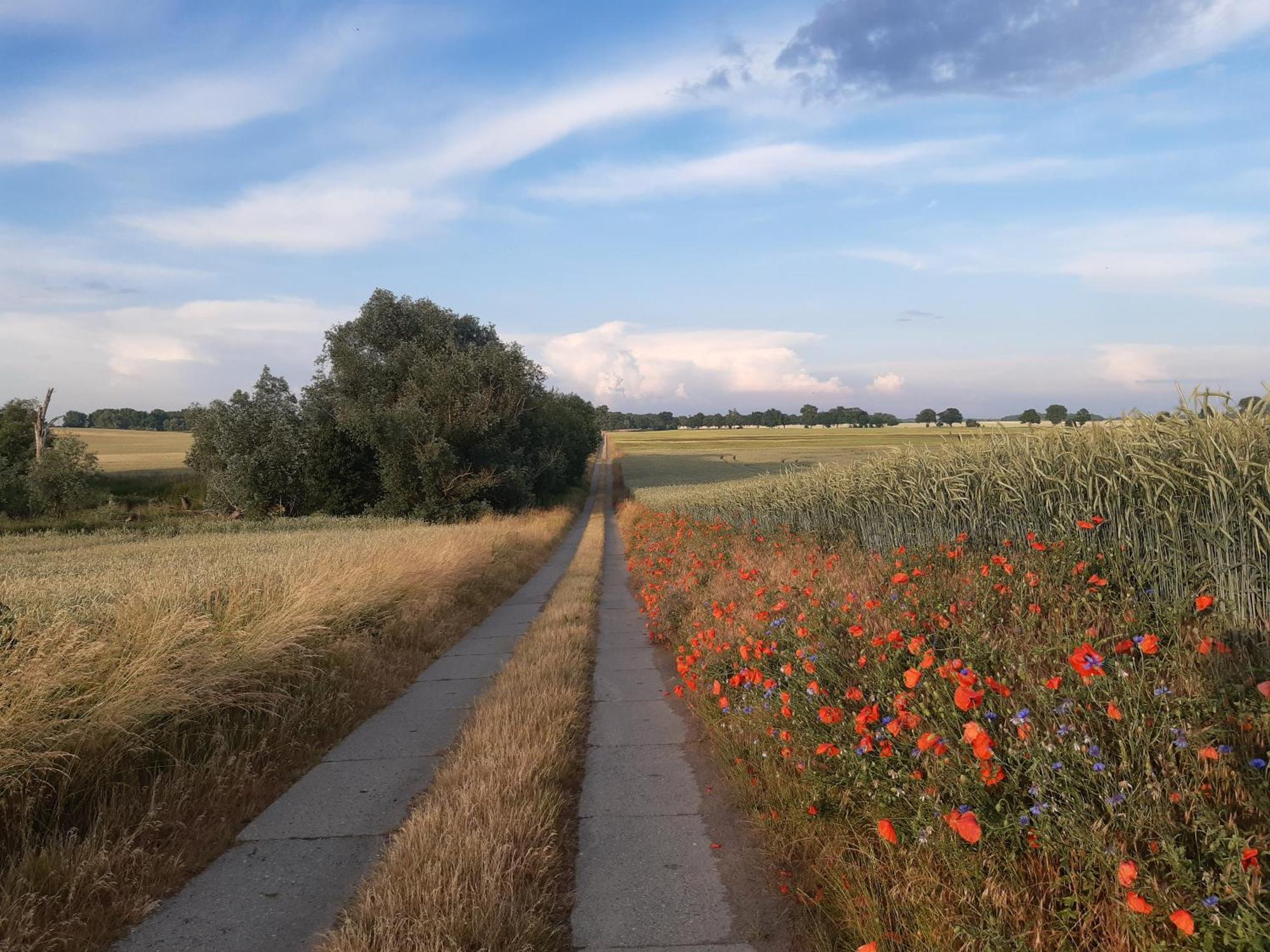 Kulturfreizeiten Ferienwohnungen Neuruppin Exteriér fotografie