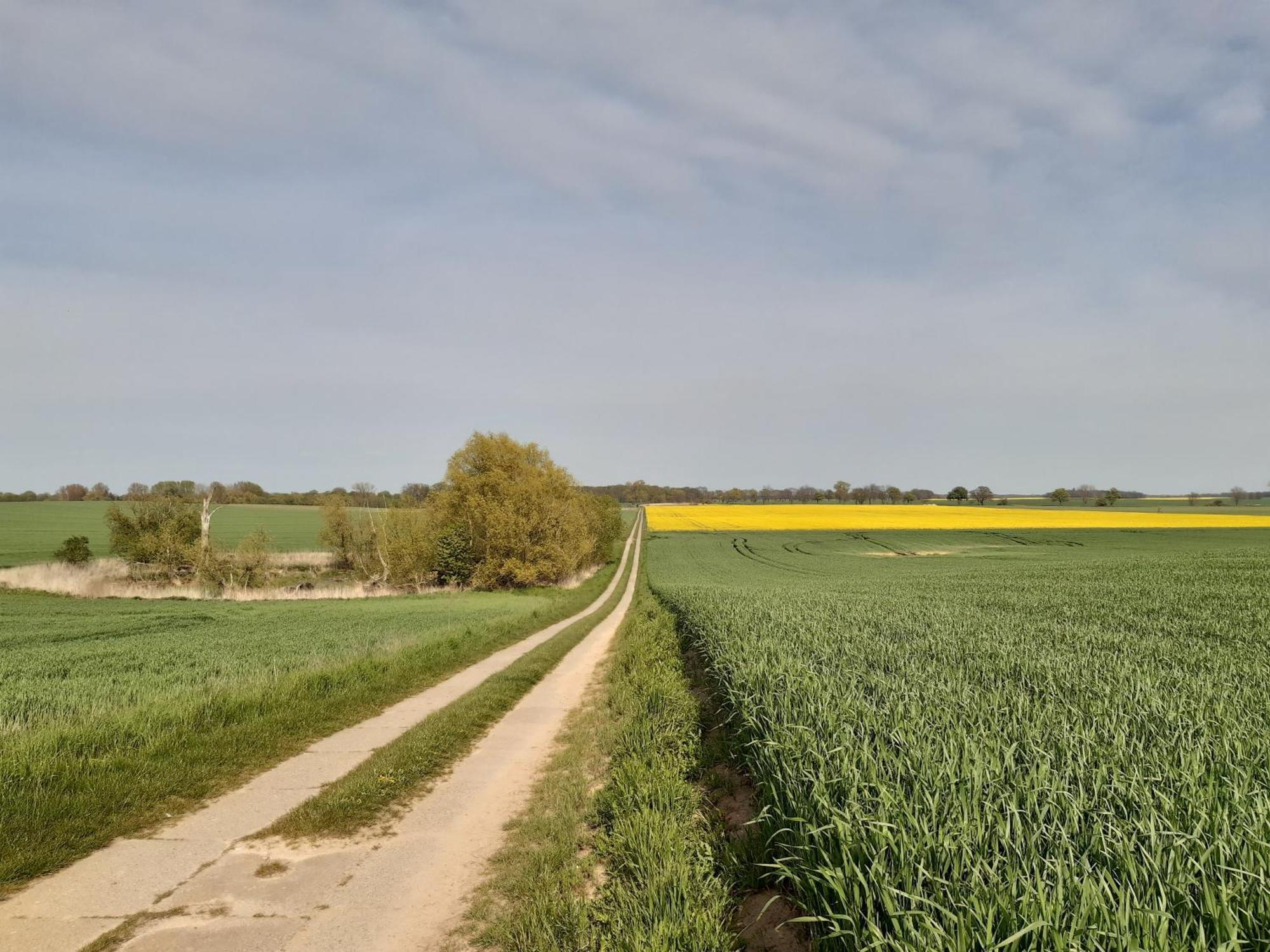 Kulturfreizeiten Ferienwohnungen Neuruppin Exteriér fotografie