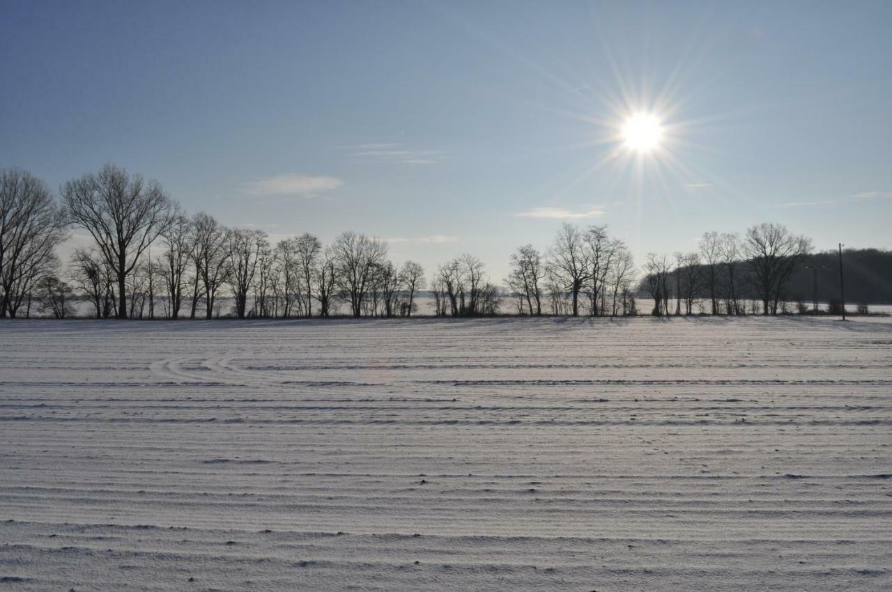 Kulturfreizeiten Ferienwohnungen Neuruppin Exteriér fotografie
